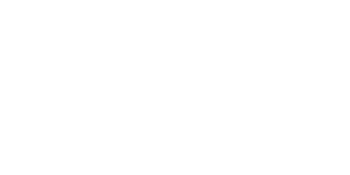 Zoom Logo Zoom