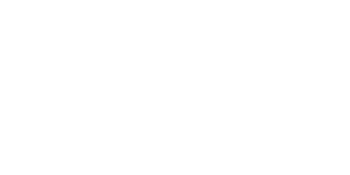 Flip