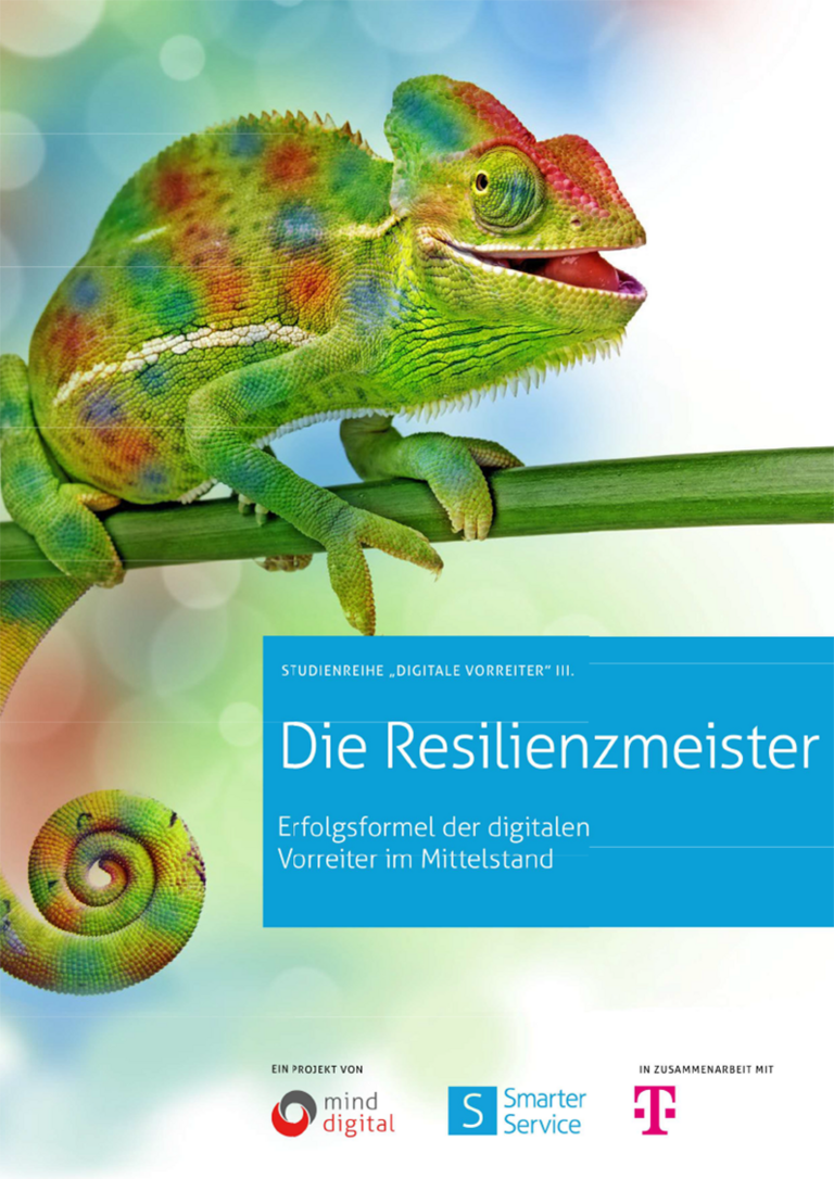 Coverbild Studie Resilienzmeister
