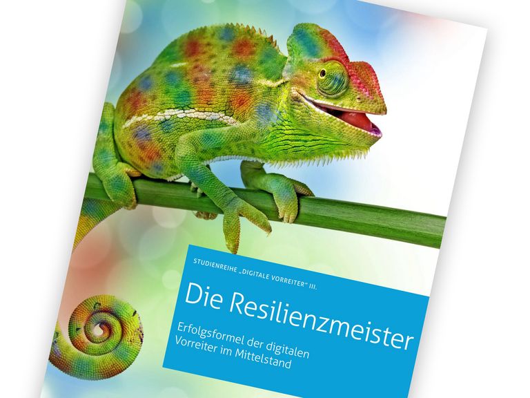 Coverbild Studie Resilienzmeister
