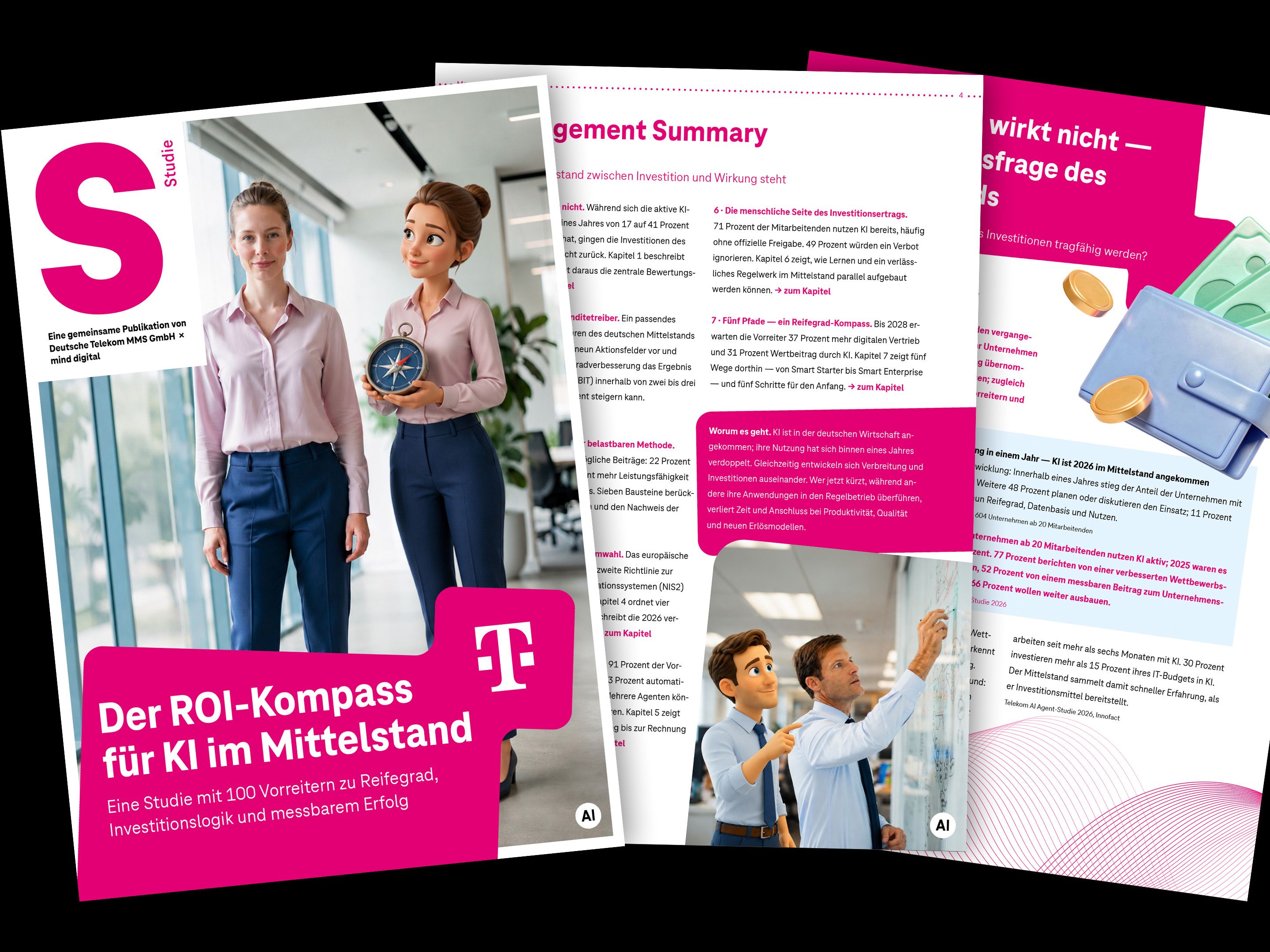 Preview Studie "ROI Kompass"