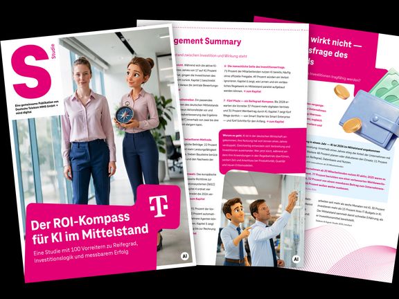 Preview Studie "ROI Kompass"