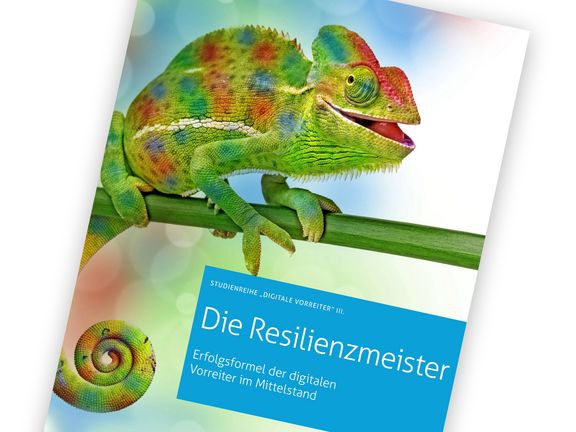Coverbild Studie Resilienzmeister