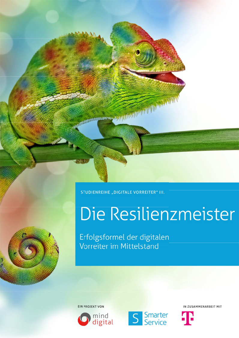 Coverbild Studie Resilienzmeister